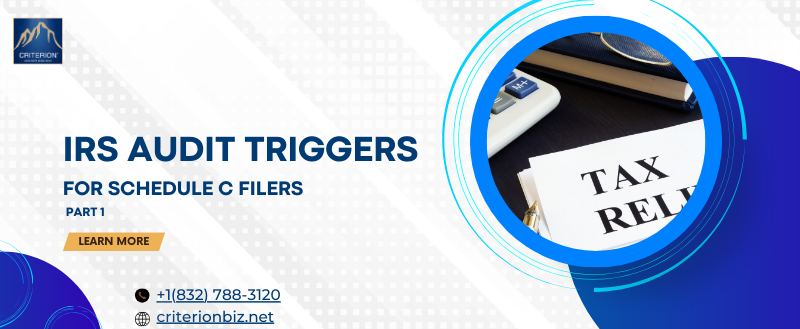 IRS TAX Audit Triggers for Schedule C Filers
