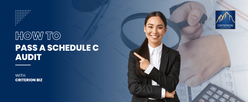 Schedule C Audit